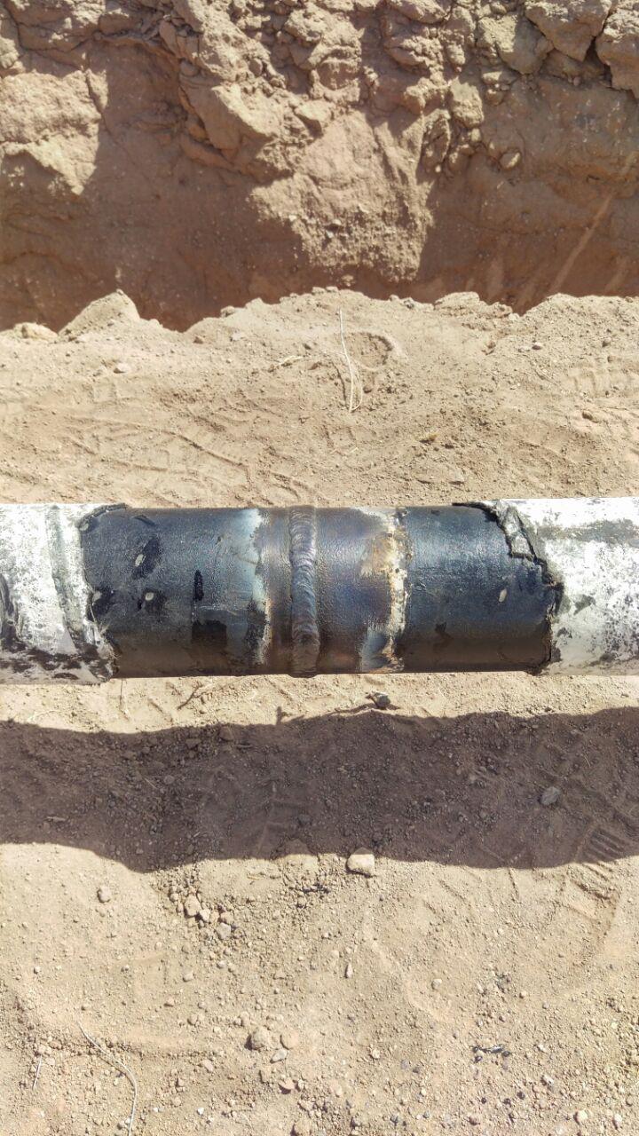 photo 2016 06 20 02 59 47