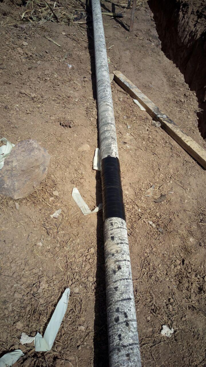 photo 2016 06 20 03 00 54